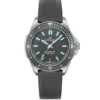 n130008s01g01r01