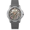 n300007s02g01